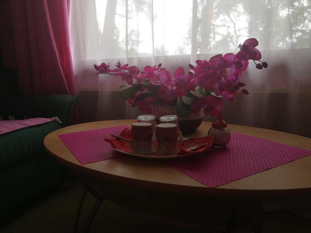 Hotel Villa Vanessa Siltakylä Extérieur photo